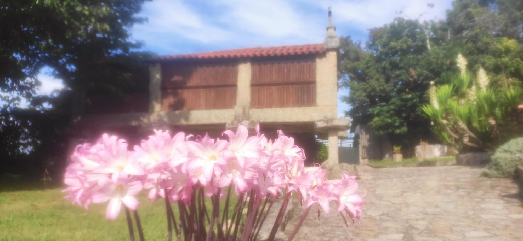 Casal De Folgueiras Rias Baixas Guest House Meis Exterior photo